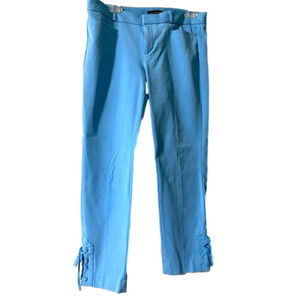 BANANA Republic Skinny Sloan Pant Blue Size 6